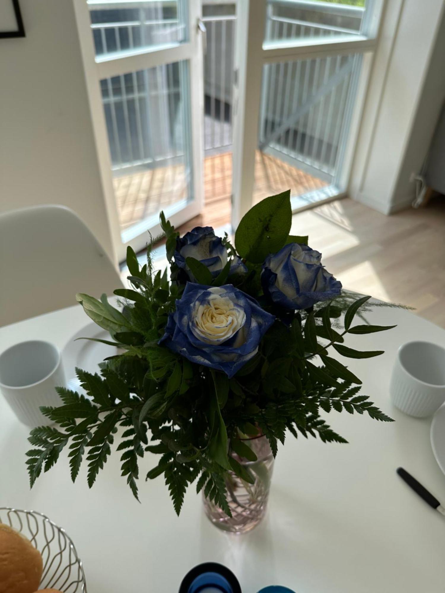 Appartamento Luxury New Cozy And Quietly 95M2 Tórshavn Esterno foto
